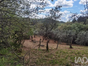 Moradia para Venda em Aldeias e Mangualde da Serra