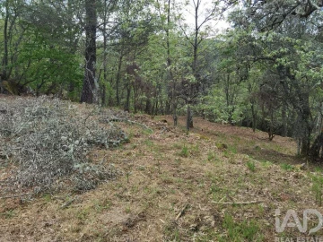 Moradia para Venda em Aldeias e Mangualde da Serra