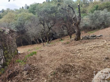 Moradia para Venda em Aldeias e Mangualde da Serra