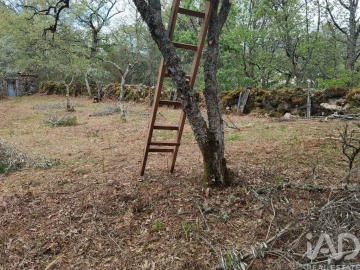 Moradia para Venda em Aldeias e Mangualde da Serra