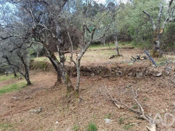 Moradia para Venda em Aldeias e Mangualde da Serra