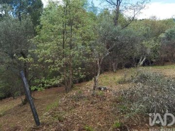 Moradia para Venda em Aldeias e Mangualde da Serra