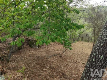 Moradia para Venda em Aldeias e Mangualde da Serra