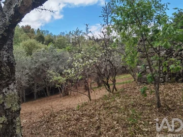 Moradia para Venda em Aldeias e Mangualde da Serra