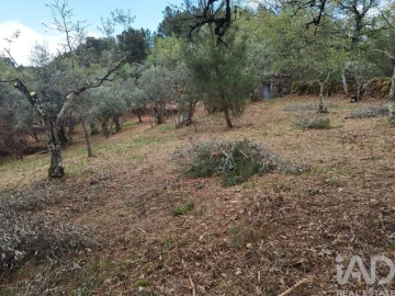 Moradia para Venda em Aldeias e Mangualde da Serra