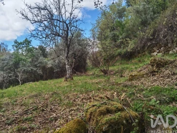 Moradia para Venda em Aldeias e Mangualde da Serra