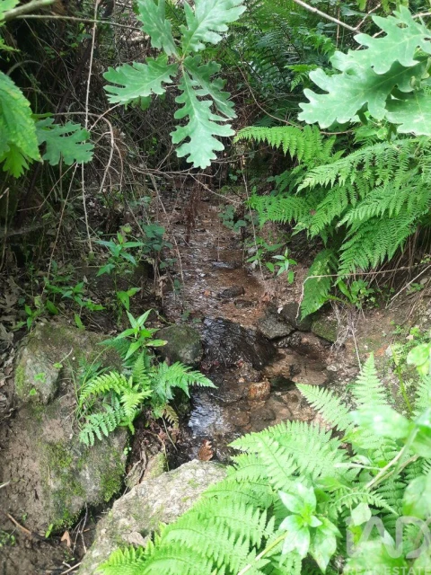 Moradia para Venda em Aldeias e Mangualde da Serra