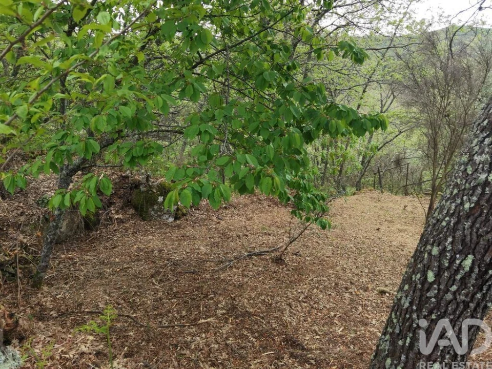Moradia para Venda em Aldeias e Mangualde da Serra Foto 14