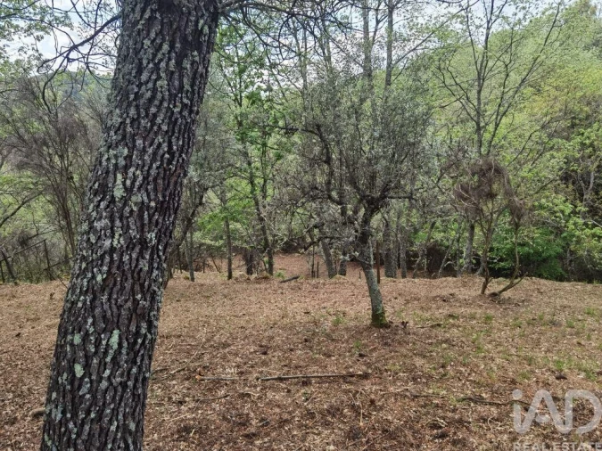 Moradia para Venda em Aldeias e Mangualde da Serra Foto 13