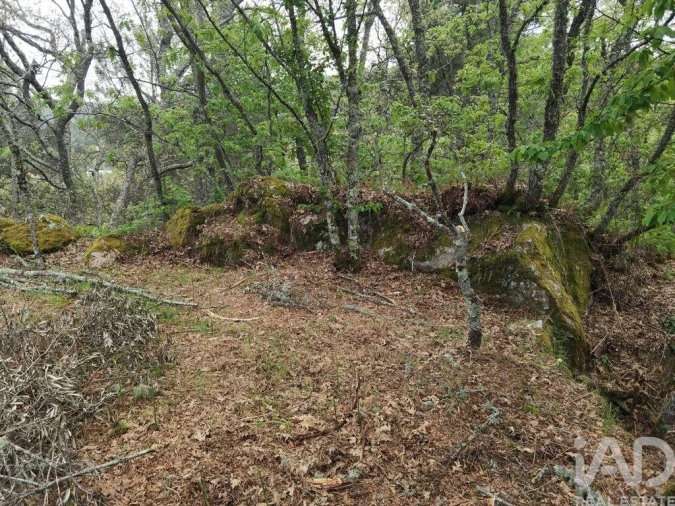 Moradia para Venda em Aldeias e Mangualde da Serra Foto 15