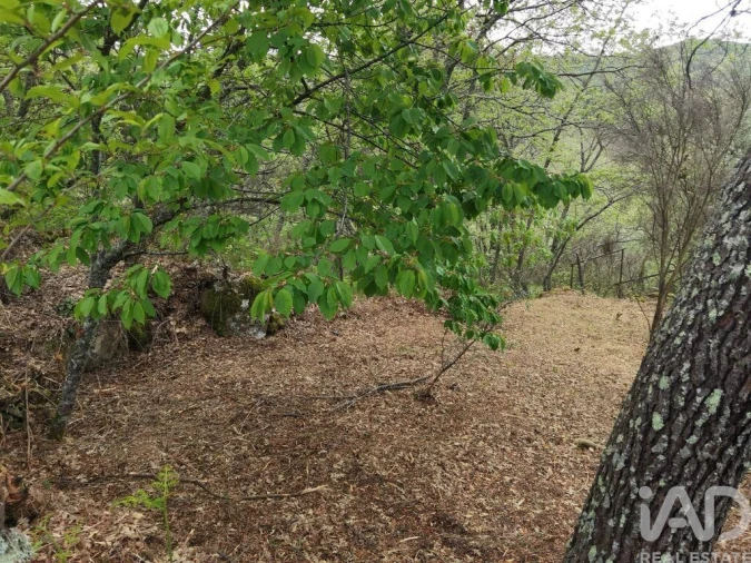 Moradia para Venda em Aldeias e Mangualde da Serra Foto 14
