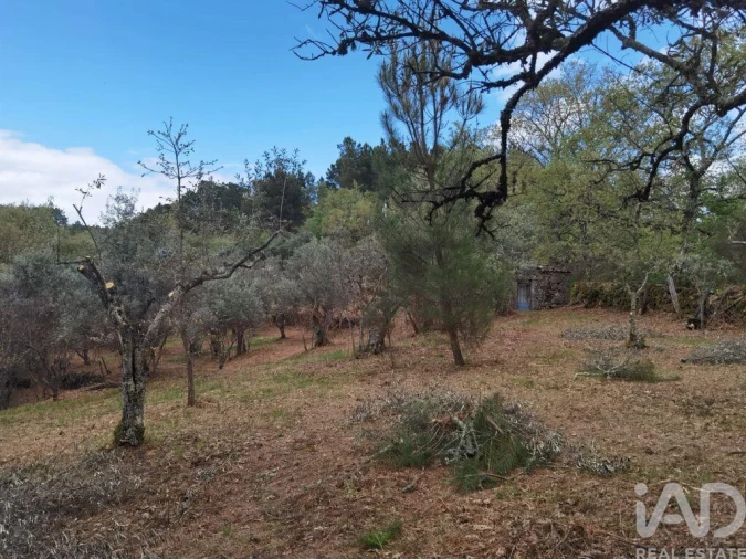 Moradia para Venda em Aldeias e Mangualde da Serra Foto 18