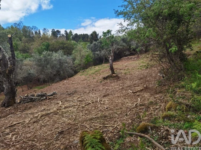 Moradia para Venda em Aldeias e Mangualde da Serra Foto 23