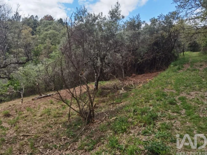 Moradia para Venda em Aldeias e Mangualde da Serra Foto 6