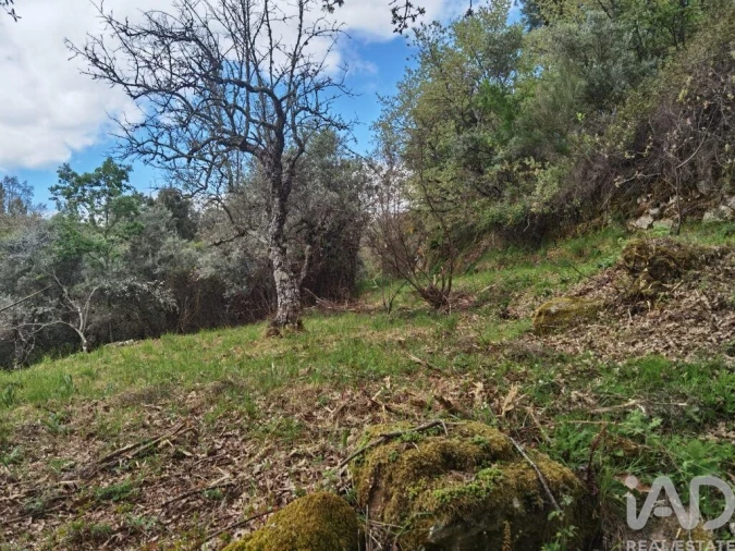 Moradia para Venda em Aldeias e Mangualde da Serra Foto 26