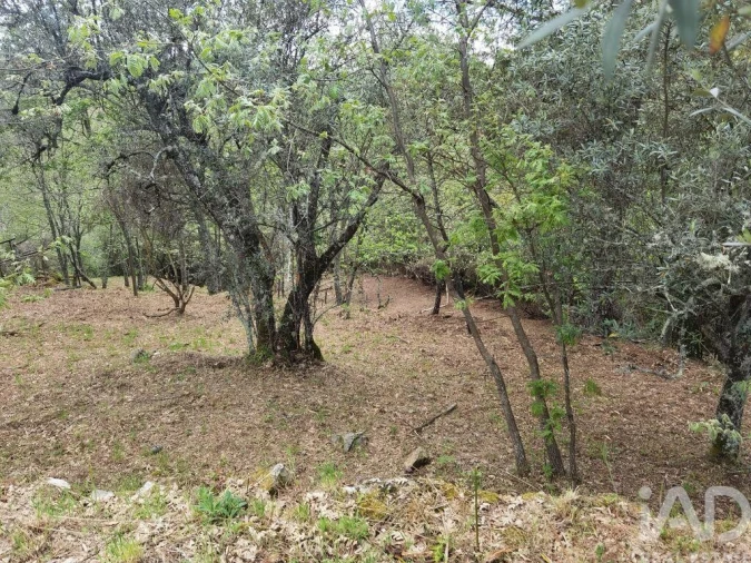 Moradia para Venda em Aldeias e Mangualde da Serra Foto 12