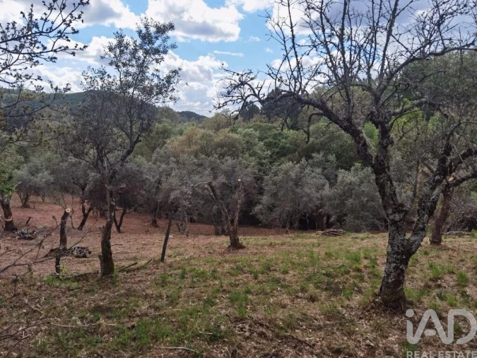 Moradia para Venda em Aldeias e Mangualde da Serra Foto 27