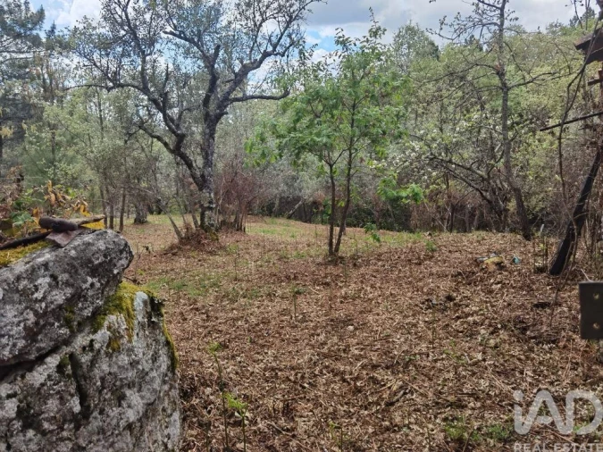 Moradia para Venda em Aldeias e Mangualde da Serra Foto 21