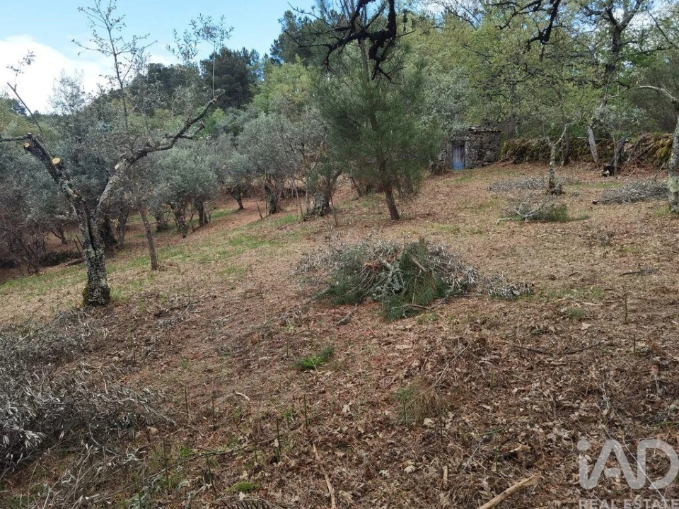Moradia para Venda em Aldeias e Mangualde da Serra Foto 17