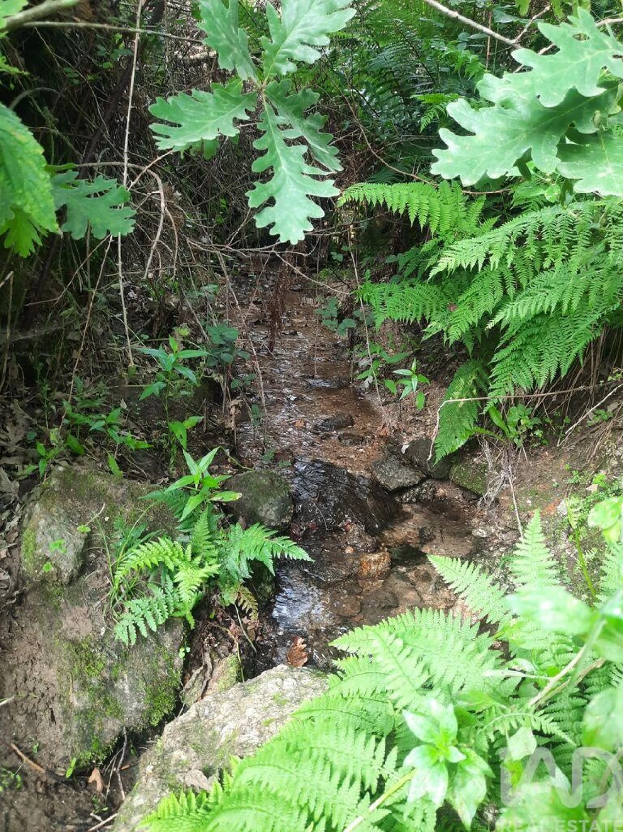 Moradia para Venda em Aldeias e Mangualde da Serra Foto 3