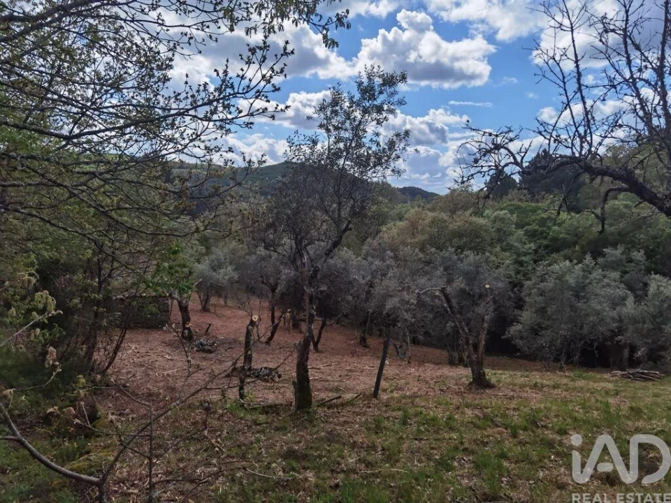 Moradia para Venda em Aldeias e Mangualde da Serra Foto 5