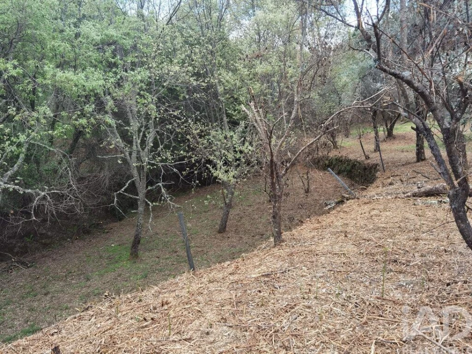 Moradia para Venda em Aldeias e Mangualde da Serra Foto 9