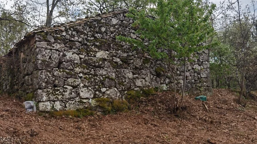 Moradia para Venda em Aldeias e Mangualde da Serra