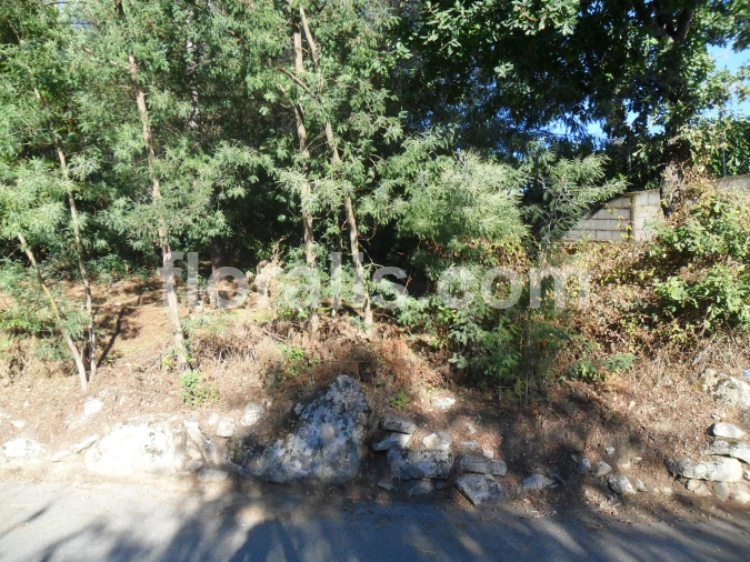 Terreno para Venda em Bodiosa Foto 8