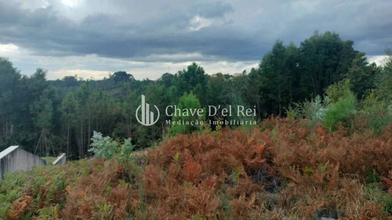 Terreno para Venda em Cavernães Foto 6