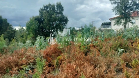 Terreno para Venda em Cavernães