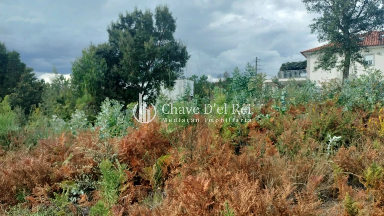 Terreno para Venda em Cavernães Foto 7