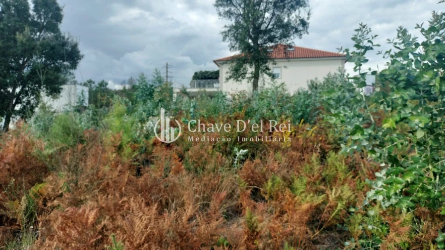 Terreno para Venda em Cavernães Foto 5