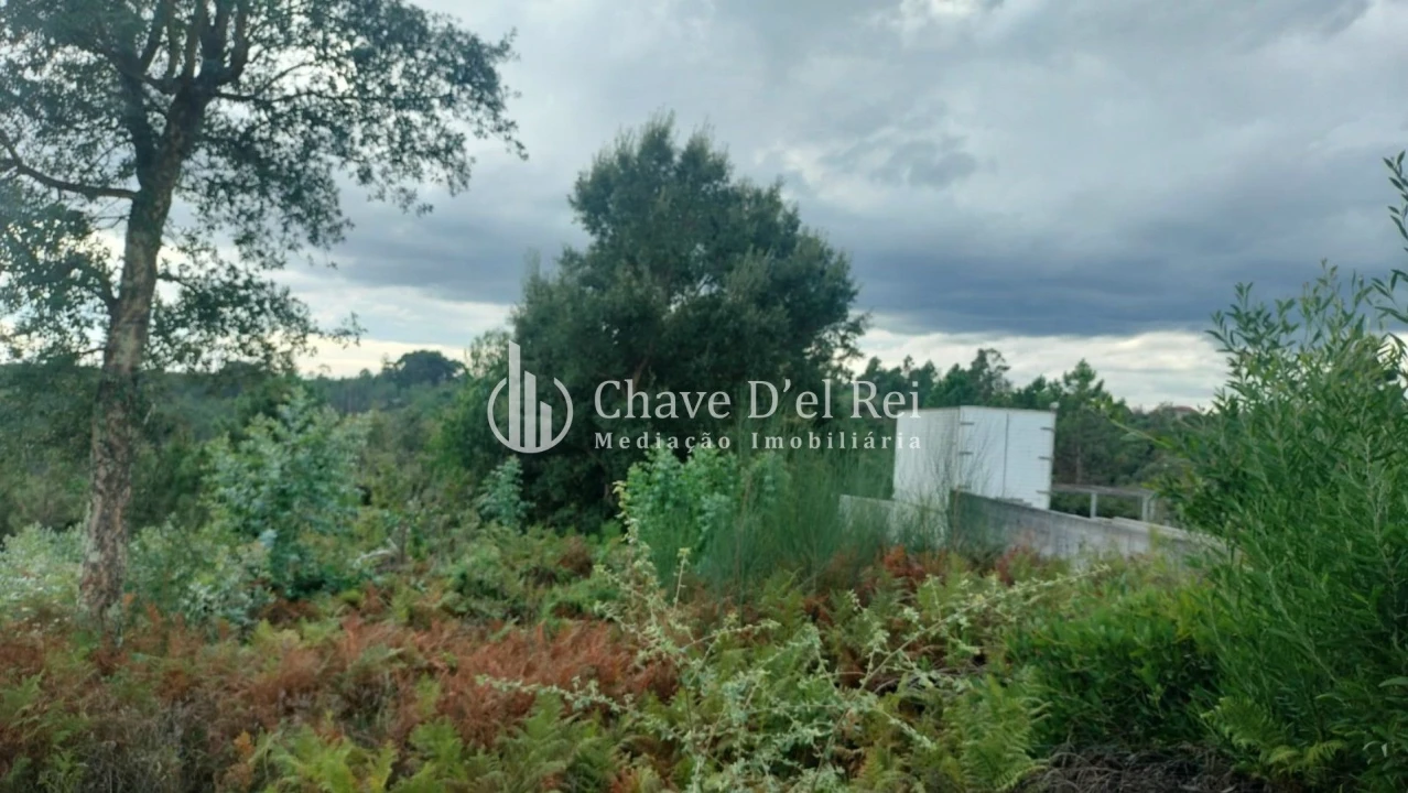 Terreno para Venda em Cavernães Foto 9