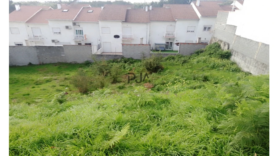 Terreno para Venda em Mundão Foto 5