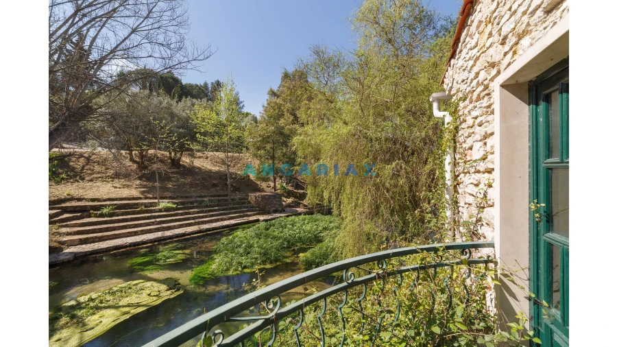 Quinta T0 para Venda em Redinha Foto 12