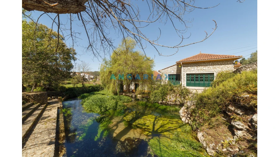 Quinta T0 para Venda em Redinha Foto 44