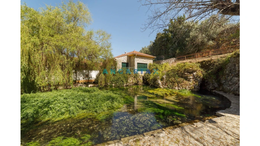 Quinta T0 para Venda em Redinha Foto 45