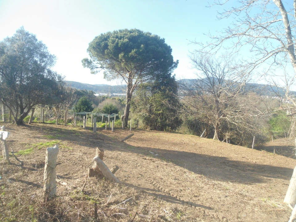 Quinta T2 para Venda em Valença, Cristelo Covo e Arão Foto 13