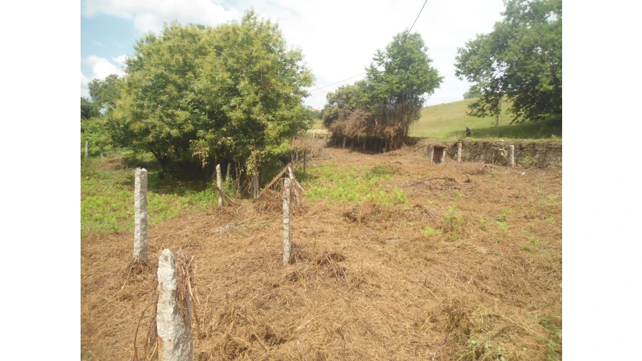 Quinta T2 para Venda em Valença, Cristelo Covo e Arão Foto 2