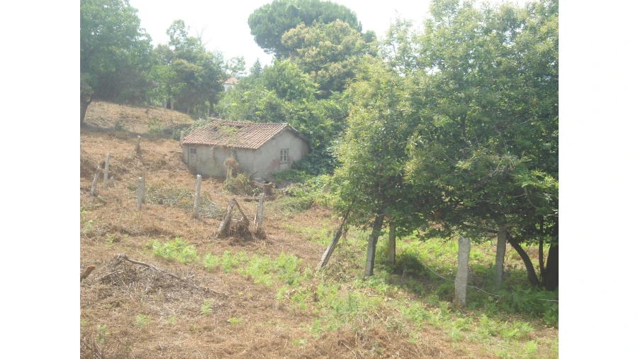 Quinta T2 para Venda em Valença, Cristelo Covo e Arão Foto 4