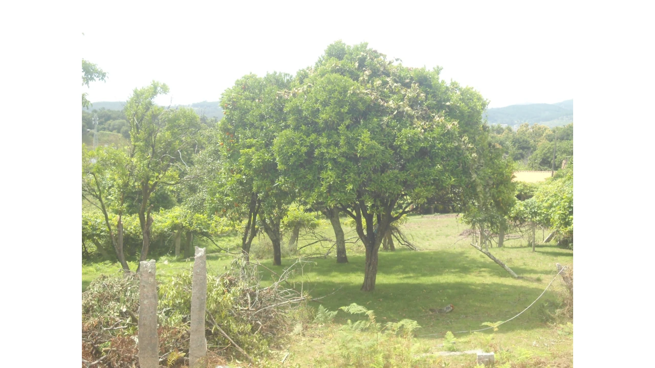 Quinta T2 para Venda em Valença, Cristelo Covo e Arão Foto 9