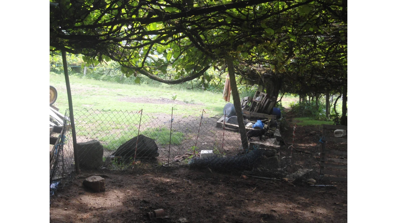 Quinta T2 para Venda em Valença, Cristelo Covo e Arão Foto 7