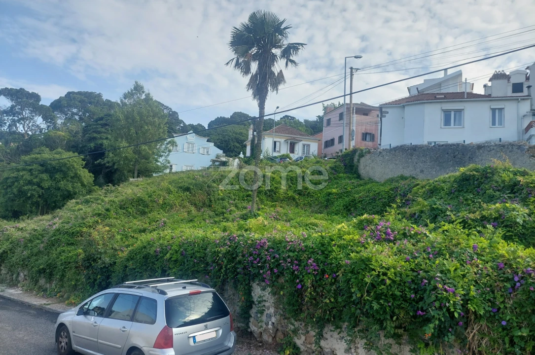 Terreno para Venda em Santa Maria e São Miguel, São Martinho, São Pedro Penaferrim Foto 7