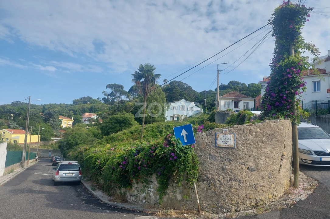 Terreno para Venda em Santa Maria e São Miguel, São Martinho, São Pedro Penaferrim Foto 10