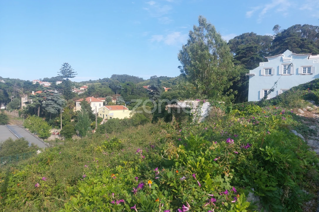 Terreno para Venda em Santa Maria e São Miguel, São Martinho, São Pedro Penaferrim Foto 2