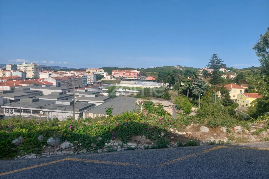 Terreno para Venda em Santa Maria e São Miguel, São Martinho, São Pedro Penaferrim Foto 4