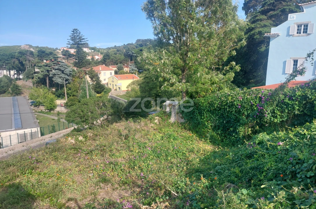 Terreno para Venda em Santa Maria e São Miguel, São Martinho, São Pedro Penaferrim Foto 5