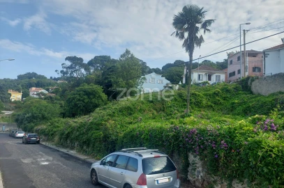 Terreno para Venda em Santa Maria e São Miguel, São Martinho, São Pedro Penaferrim