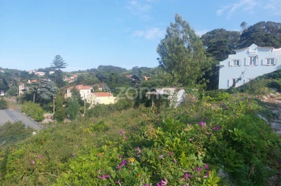 Terreno para Venda em Santa Maria e São Miguel, São Martinho, São Pedro Penaferrim