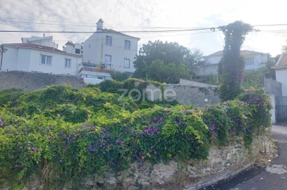 Terreno para Venda em Santa Maria e São Miguel, São Martinho, São Pedro Penaferrim